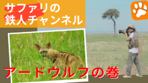 URL for YouTube about Aardwolf